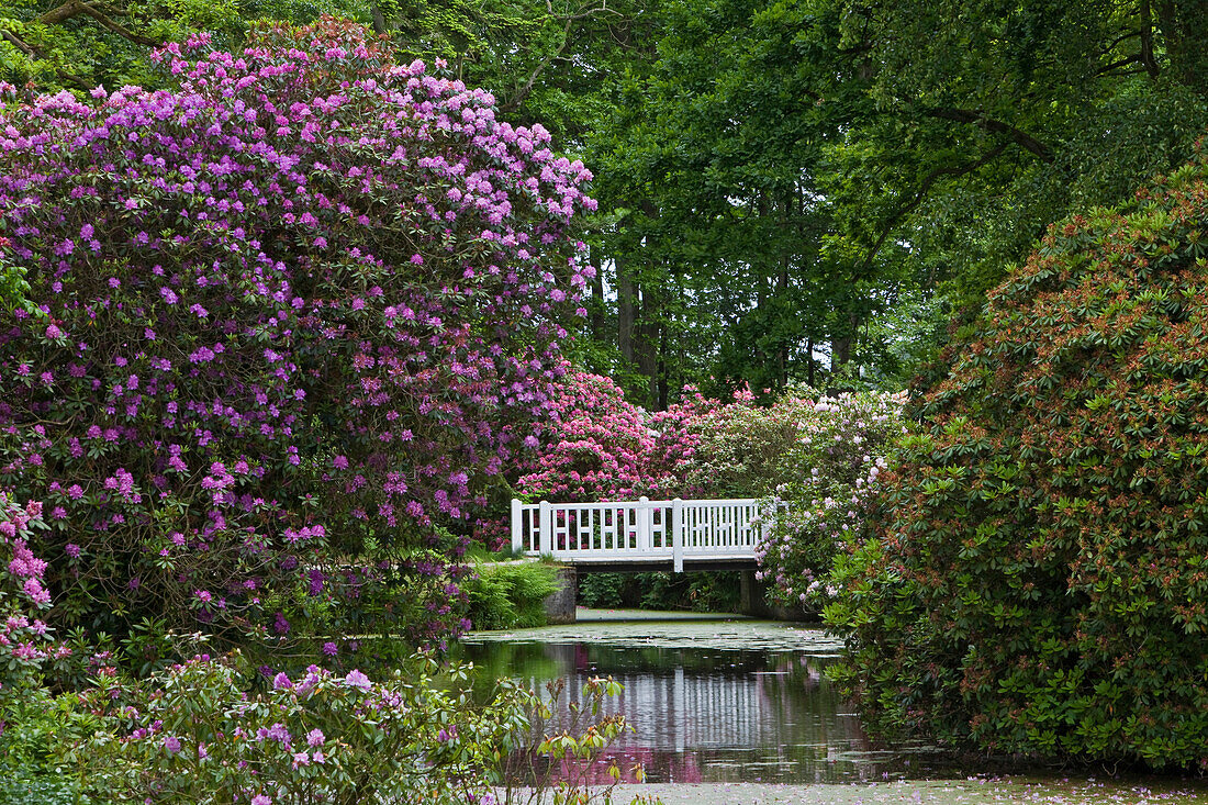 Landschaftsgarten, Schloss Lütetsburg, Lütetsburg, Niedersachsen, Deutschland