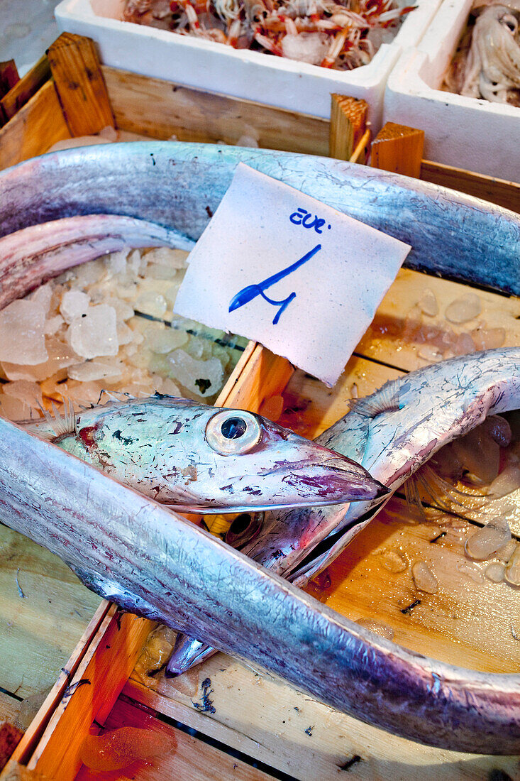 Fisch, Mercato di Ballarò, Palermo, Sizilien, Italien