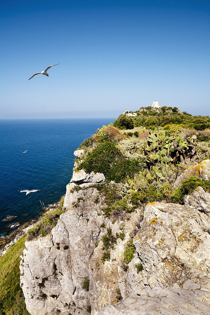 Leuchtturm, Capo di Milazzo, Sizilien, Italien