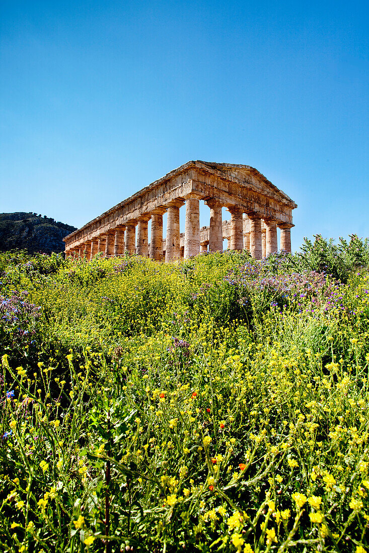 Tempel, Segesta, Sizilien, Italien, Europa