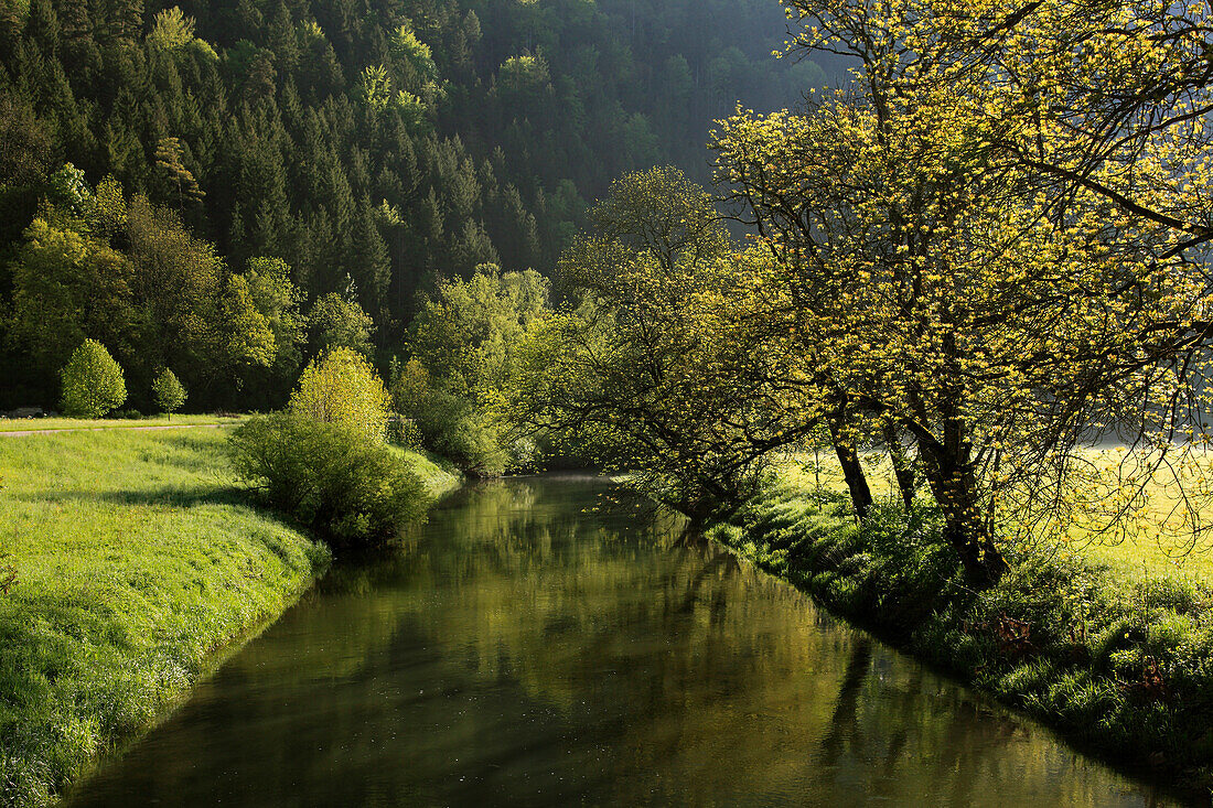 Danube valley near Beuron, Upper Danube nature park, Danube river, Baden-Württemberg, Germany