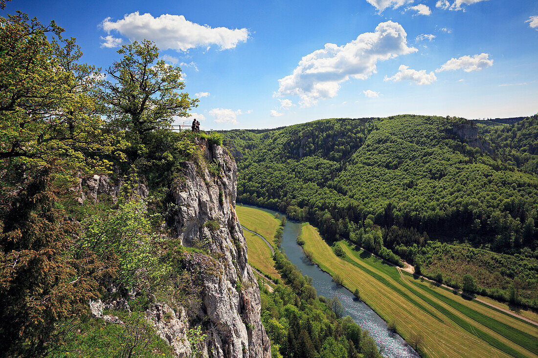 Blick zum Eichfelsen über der Donau, nahe Kloster Beuron, Naturpark Obere Donau, Schwäbische Alb, Baden-Württemberg, Deutschland