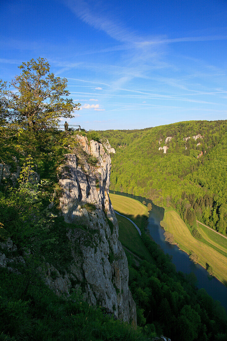 View to the Eichfelsen rocks above the Danube river, near Beuron monastery, Upper Danube nature park, Danube river, Baden-Württemberg, Germany