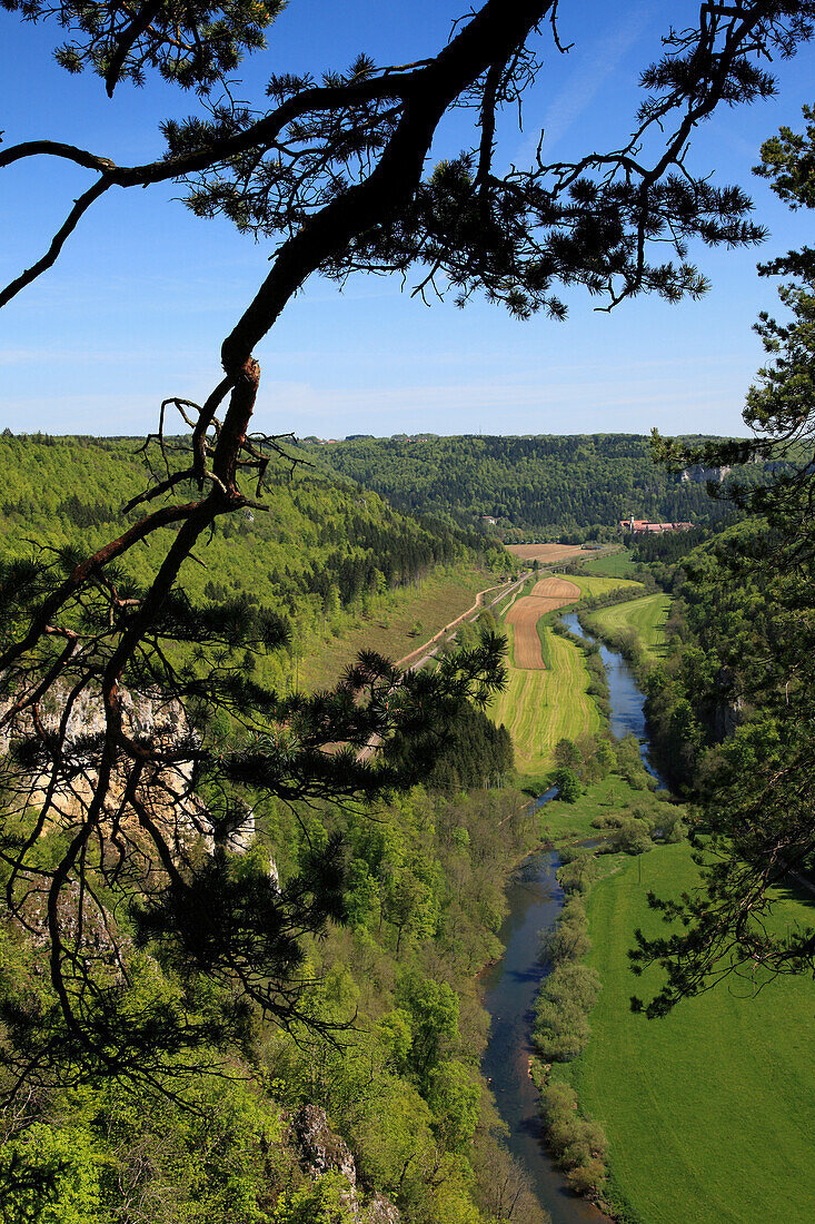 Blick über das Donautal zum Kloster Beuron, Naturpark Obere Donau, Schwäbische Alb, Baden-Württemberg, Deutschland