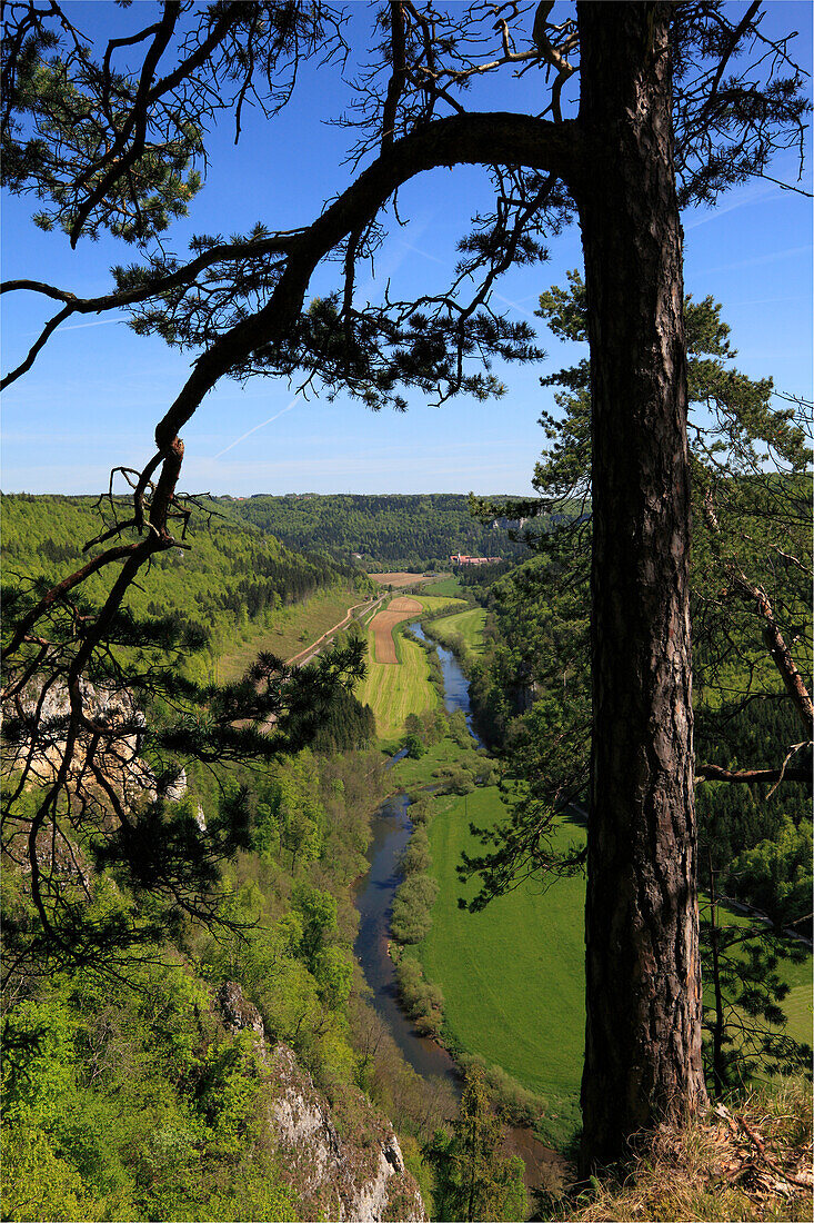 Blick über das Donautal zum Kloster Beuron, Naturpark Obere Donau, Schwäbische Alb, Baden-Württemberg, Deutschland