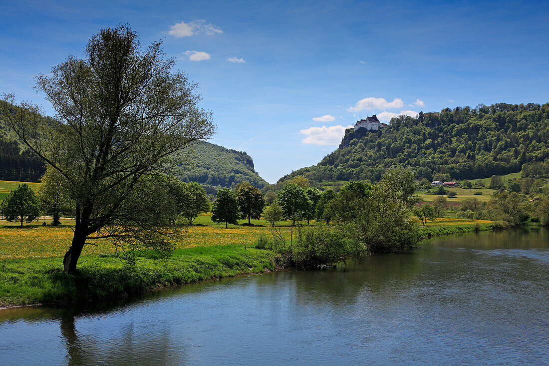 Werenwag castle, Upper Danube nature park, Danube river, Baden-Württemberg, Germany