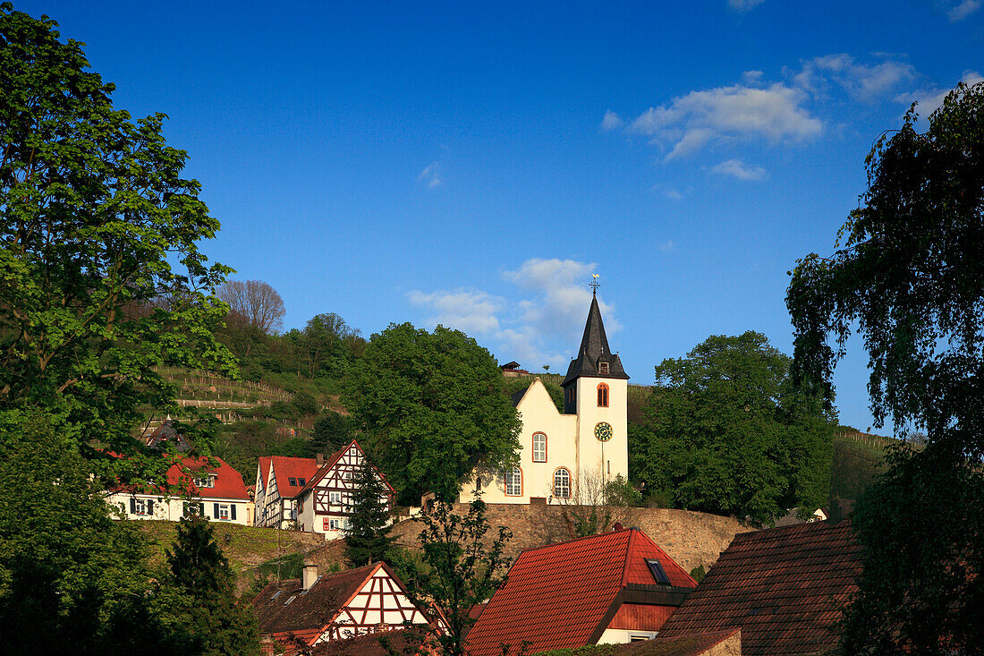 View over half-timbered houses to the church, Zwingenberg, Hessische Bergstrasse, Hesse, Germany