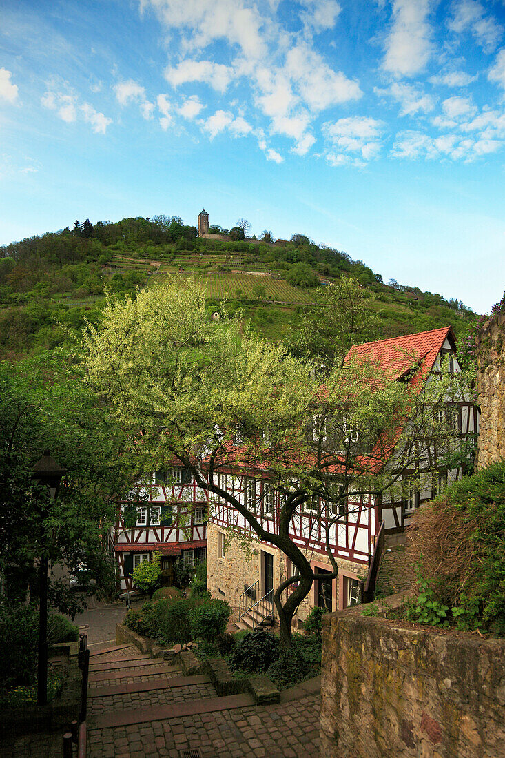 Blick über eine Gasse mit Fachwerkhäusern zur Starkenburg, Heppenheim, Hessische Bergstraße, Hessen, Deutschland