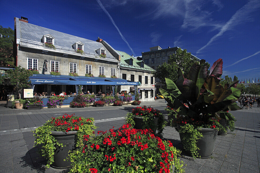 Place Jacques Cartier, Montreal, Quebec, Canada