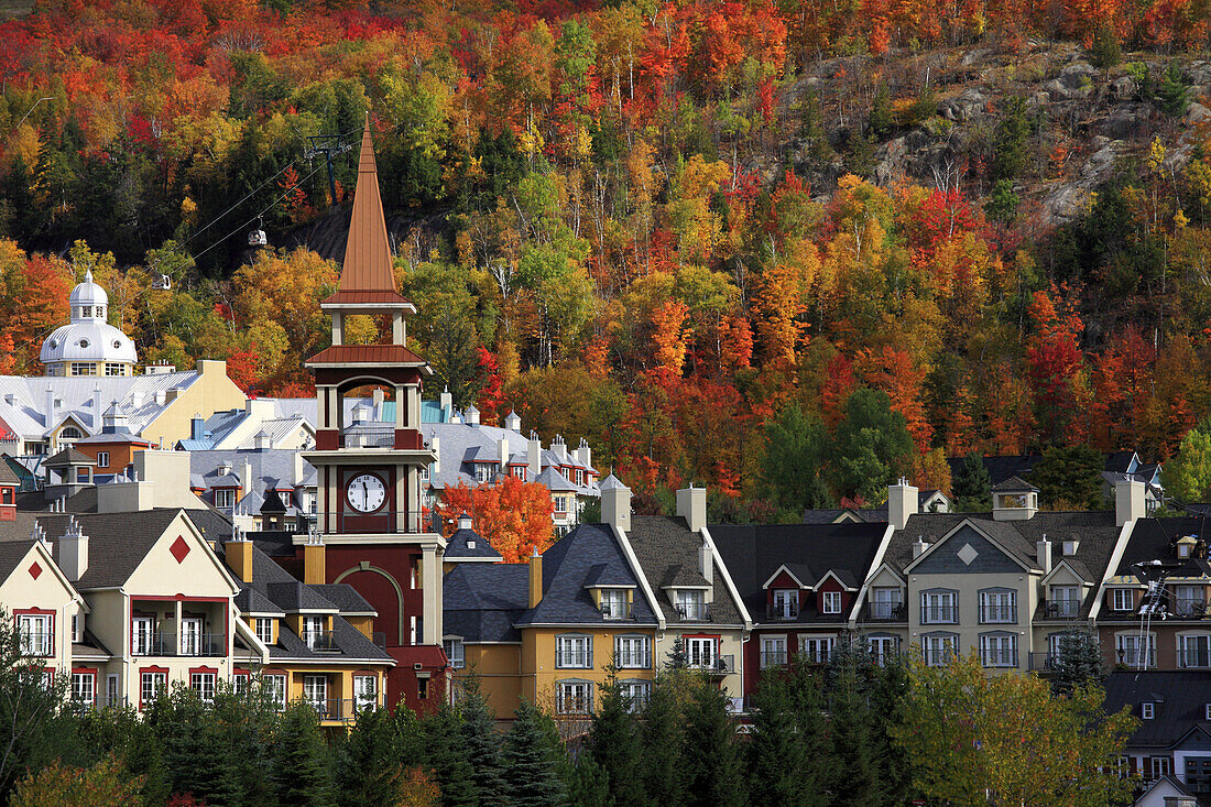 Herbstfarben, Mont Tremblant, Provinz Quebec, Kanada