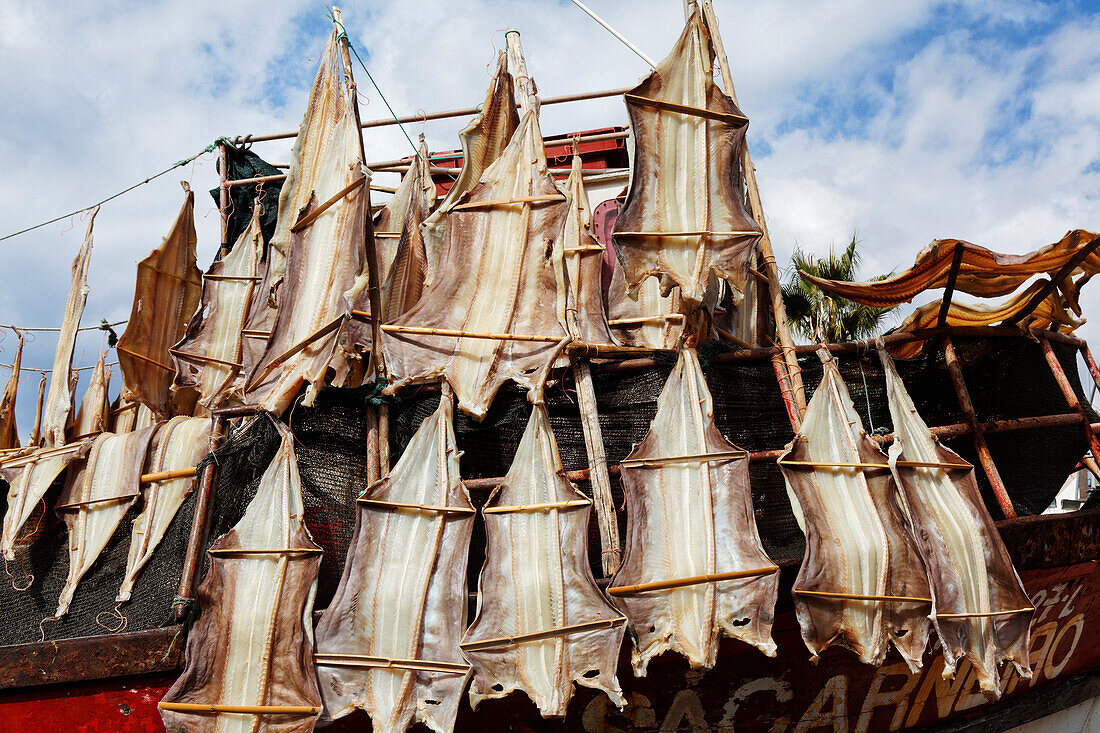 Cod drying, Camara de Lobos, Madeira, Portugal