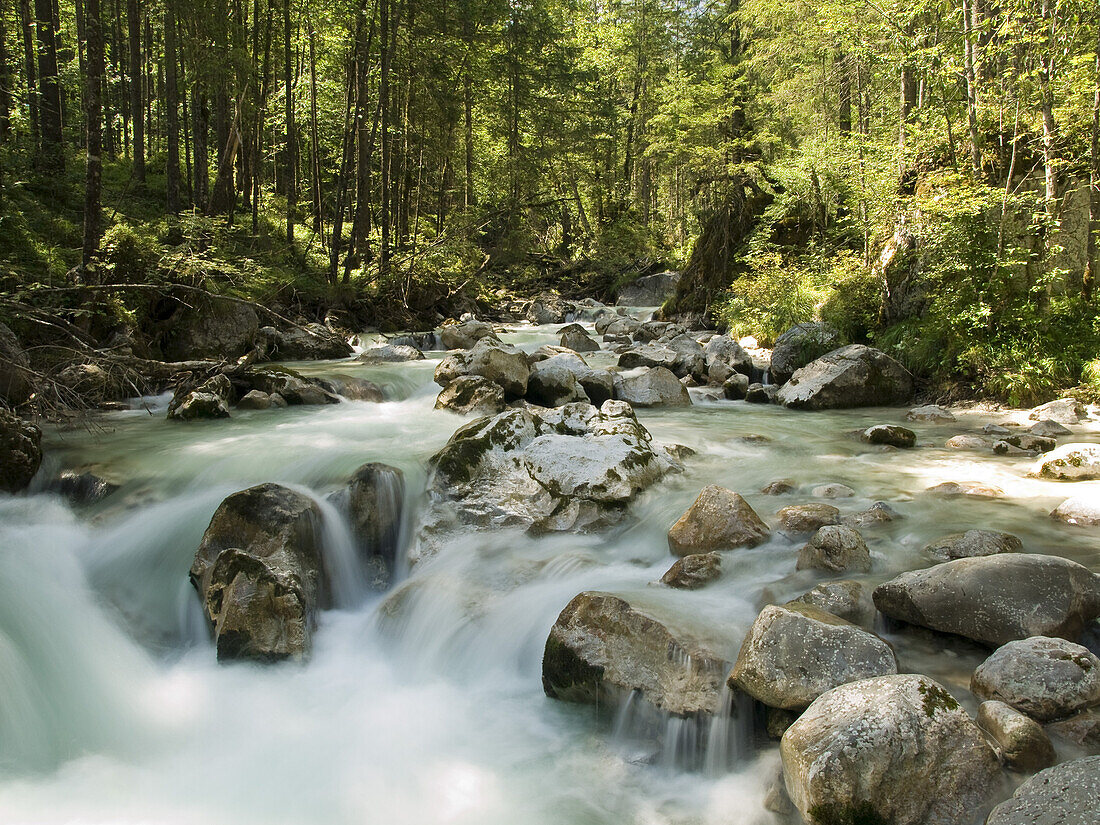 Ramsauer Ache im Zauberwald, Ramsau, Berchtesgadener Land, Bayern, Deutschland
