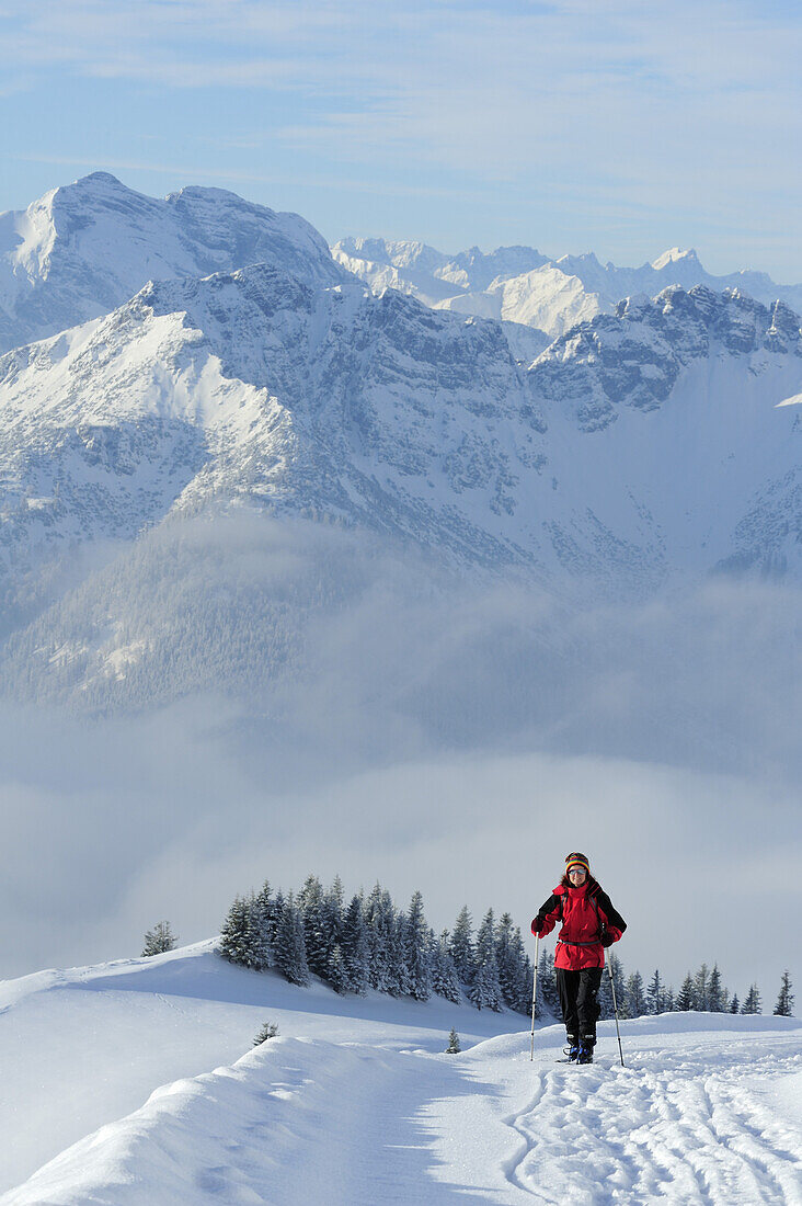 Frau auf Skitour steigt auf Almstraße auf, Bayerische Alpen und Rofan im Hintergrund, Rotwand, Spitzinggebiet, Bayerische Voralpen, Bayerische Alpen, Oberbayern, Bayern, Deutschland