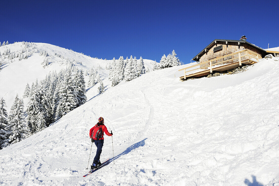 Frau auf Skitour steigt zu Almgebäude auf, Hirschberg, Bayerische Alpen, Oberbayern, Bayern, Deutschland