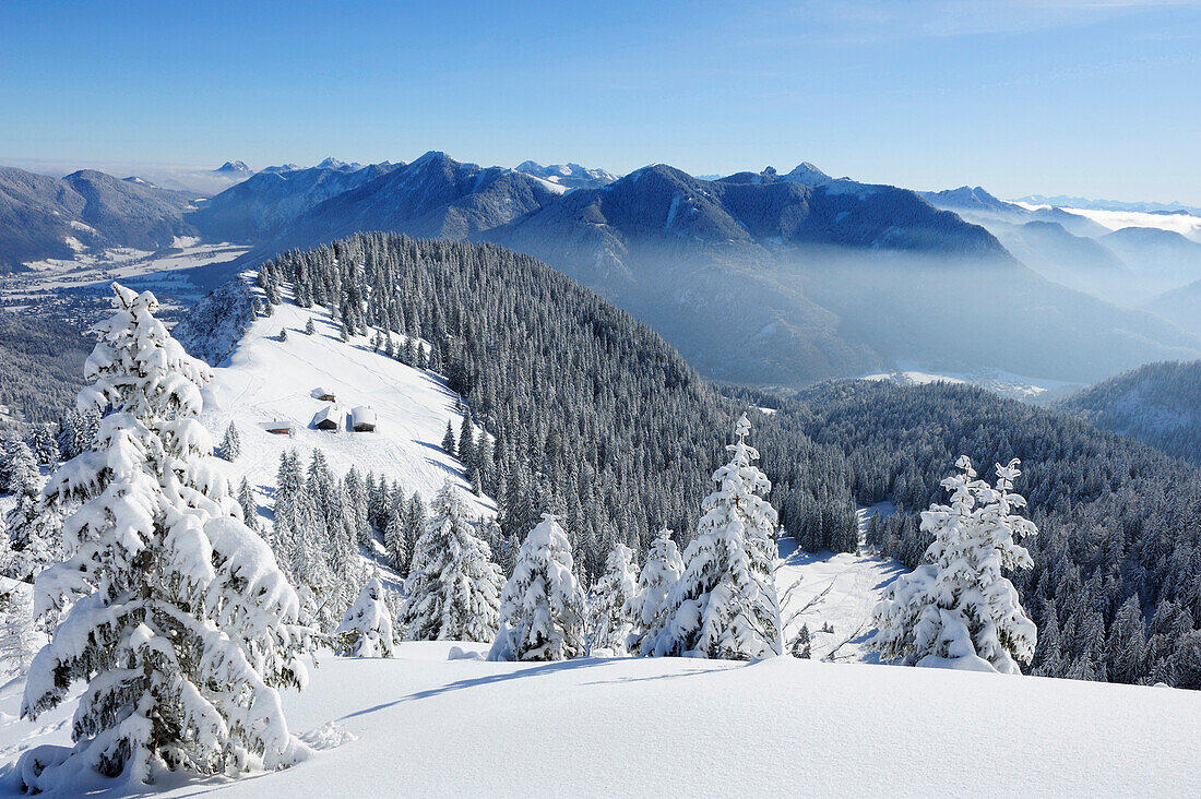 Snow-covered spruces and alpine huts, Bavarian Alps mountain range in the background, Hirschberg, Bavarian Pre-Alps, Bavarian Alps, Upper Bavaria, Bavaria, Germany