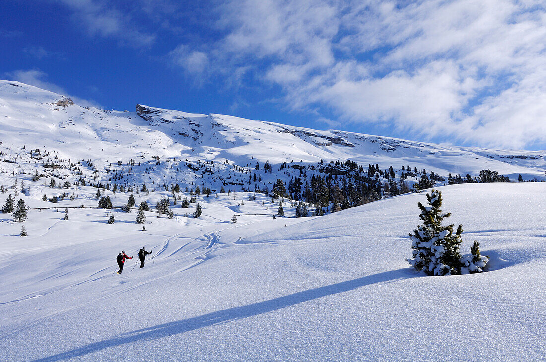 Zwei Skitourengeher steigen zum Dürrenstein auf, Dürrenstein, Naturpark Fanes-Sennes, UNESCO Weltkulturerbe, Dolomiten, Südtirol, Italien