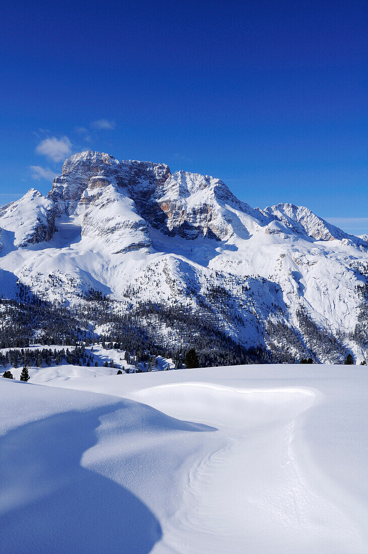 Blick auf Hohe Gaisl, Plätzwiese, Naturpark Fanes-Sennes, UNESCO Weltkulturerbe, Dolomiten, Südtirol, Italien