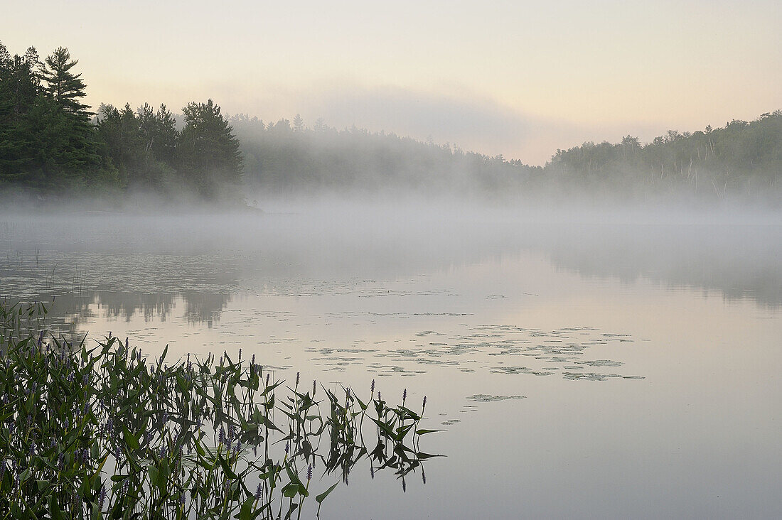 Elbow Lake with morning mists at dawn