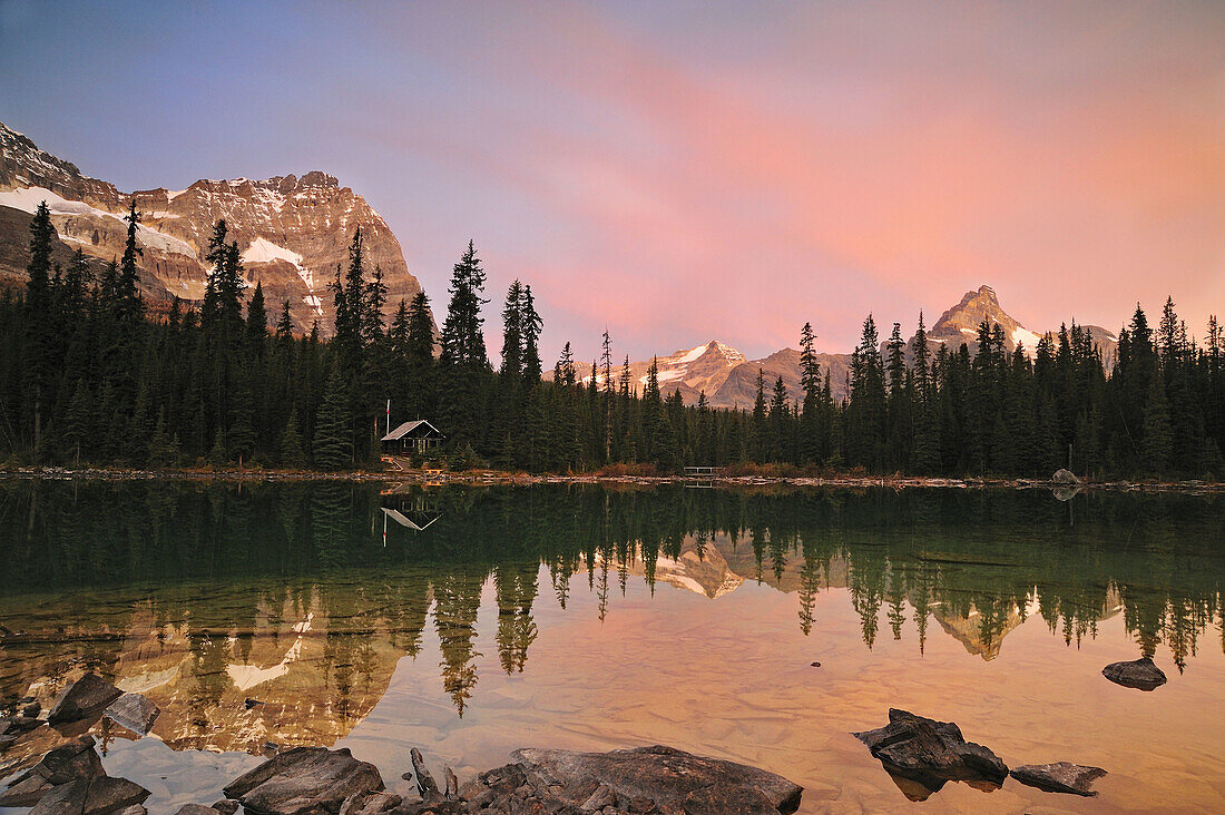 Cathedral Mountain and Odaray Mtn reflected in Lake O´Hara at dawn