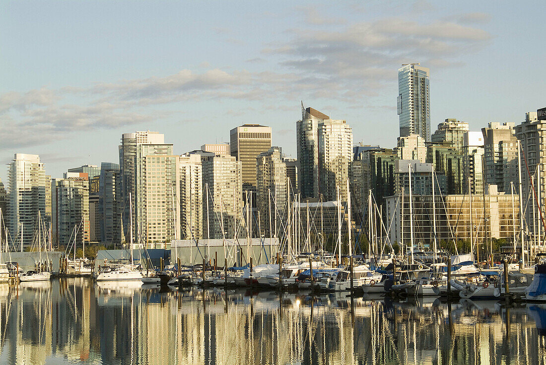 downtown Vancouver, BC, Canada, from Stanley Park