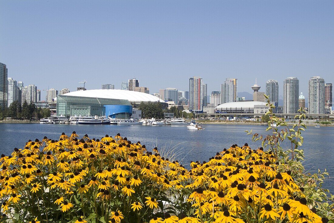 False Creek, with BC Place stadium, left, and GM Place, right, venues for the 2010 Winter Olympic Games Vancouver, BC, Canada