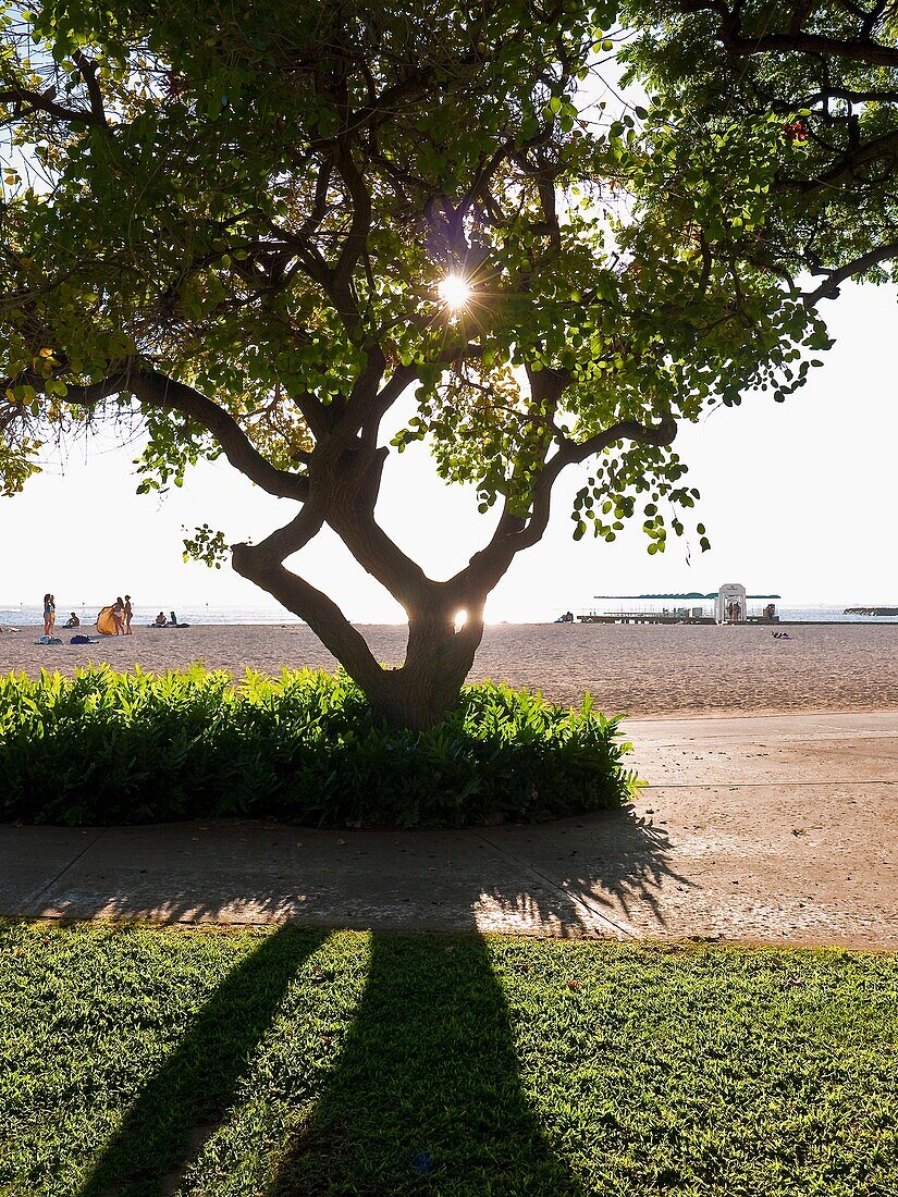 Sunrise at Waikiki Beach Honolulu Oahu Hawaii  USA