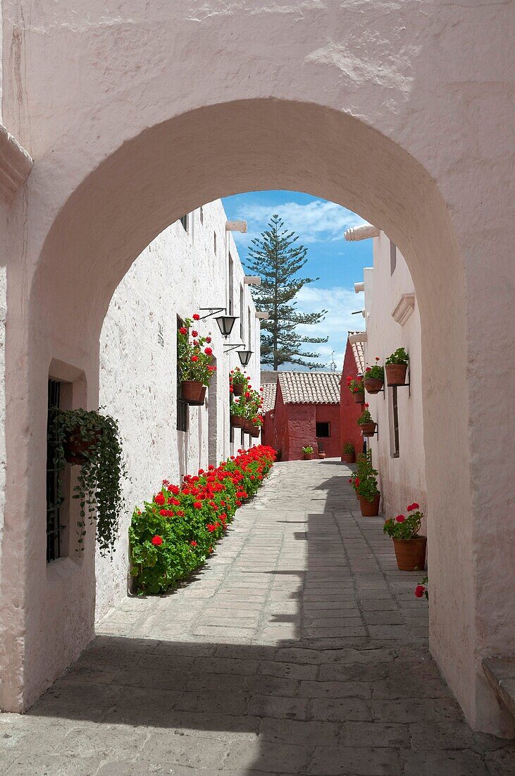 Interior courtyards and architecture of the Santa Catalina Monastery in Arequipa, Peru, South America