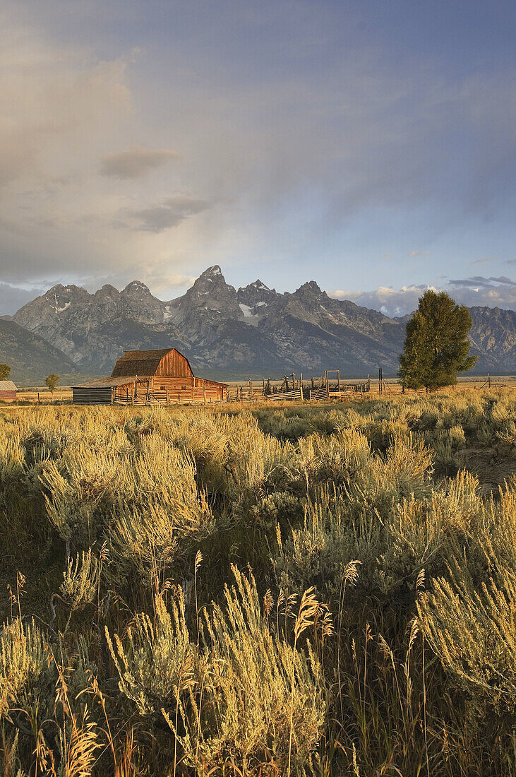 Historic Barn on Mormon Row and Teton Mountain Range, Grand Teton National Park, Wyoming, USA