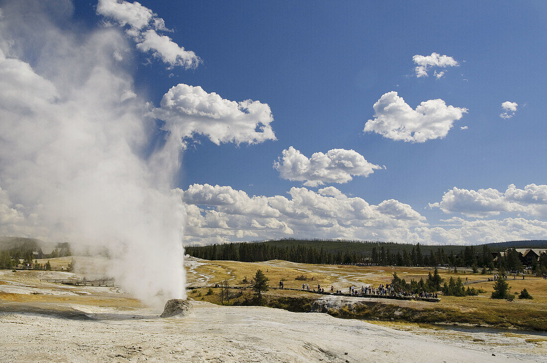 Beehive Geyser, Yellowstone National Park, Wyoming, USA