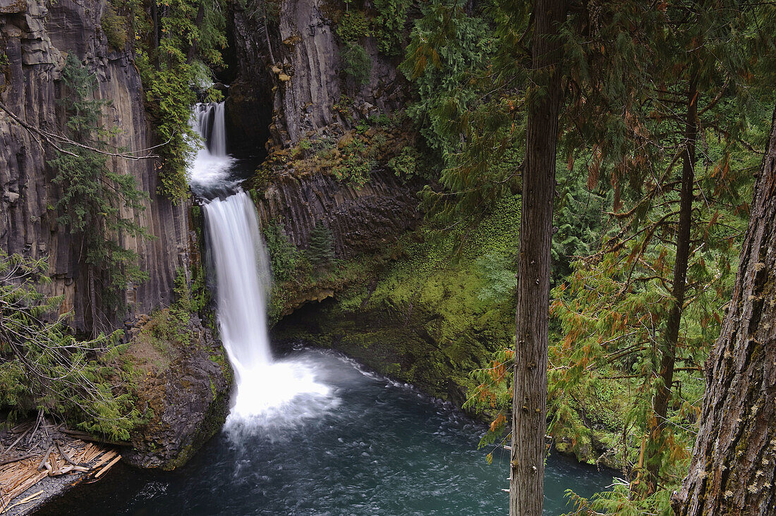 USA, Oregon, Toketee Falls
