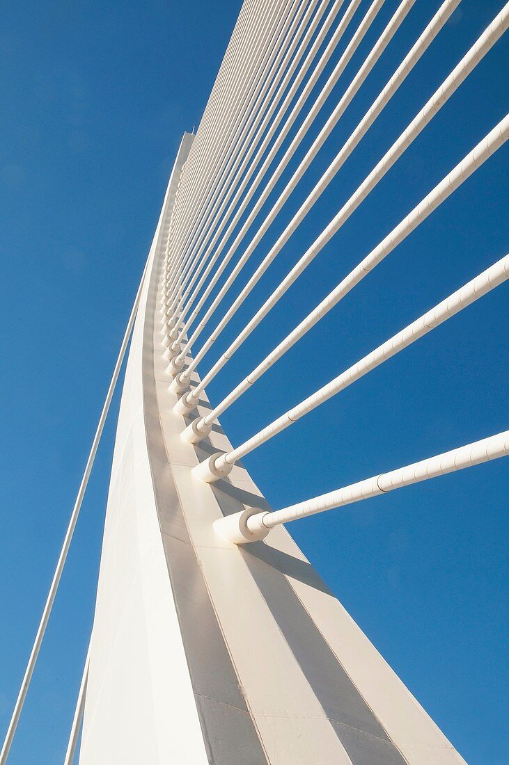 L'Assut d'Or-Brücke, Stadt der Künste und Wissenschaften. Valencia, Comunidad Valenciana, Spanien.