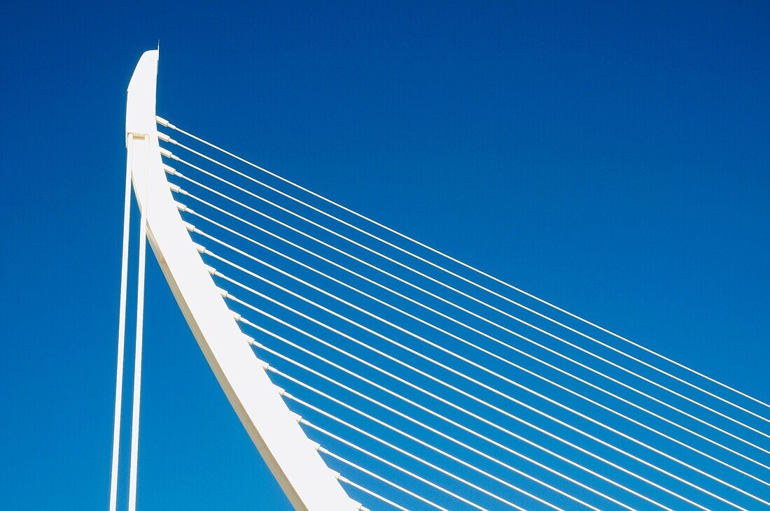 Brücke L'Assut d'Or, Stadt der Künste und der Wissenschaften. Valencia, Comunidad Valenciana, Spanien.