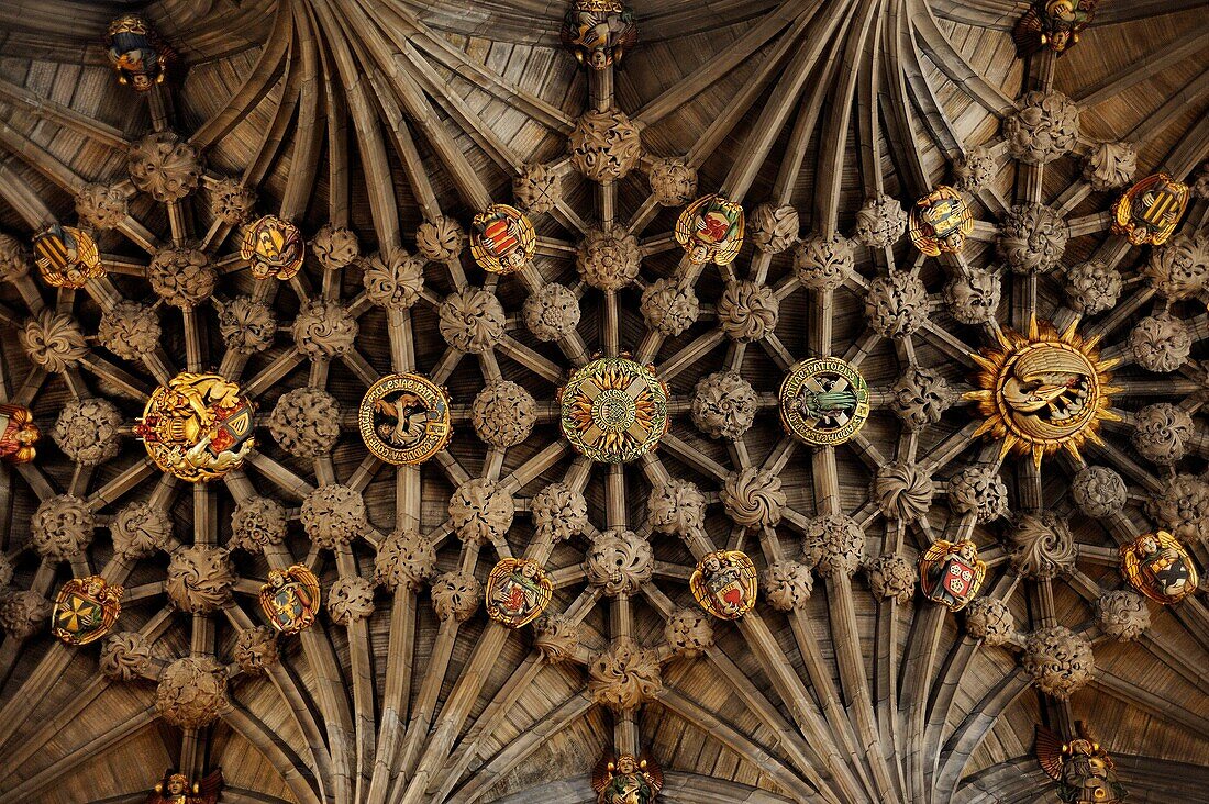 Great Britain, Scotland, Edinburgh, Royal Mile, St Giles cathedral, Thistle chapel, Gothic style ceiling