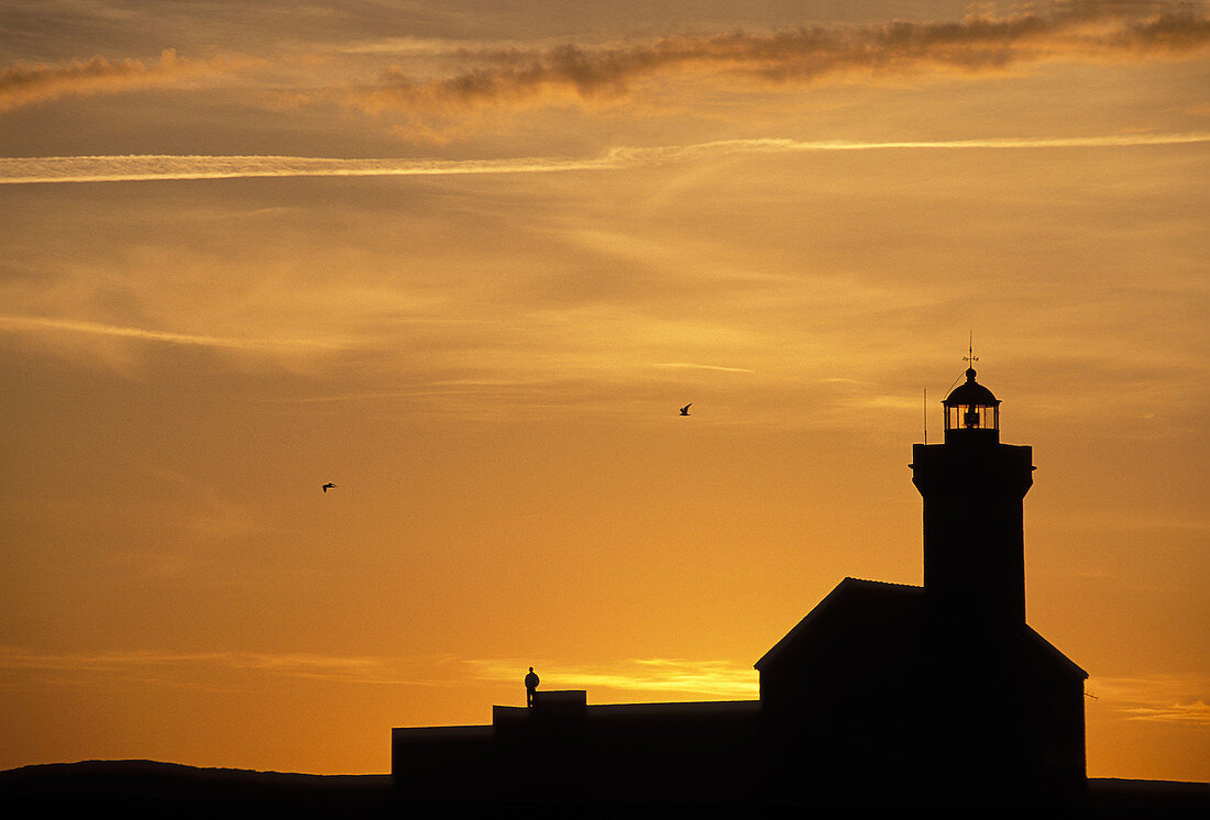Lighthouse, Pointe des Poulains, Belle Île. Morbihan, Bretagne, France