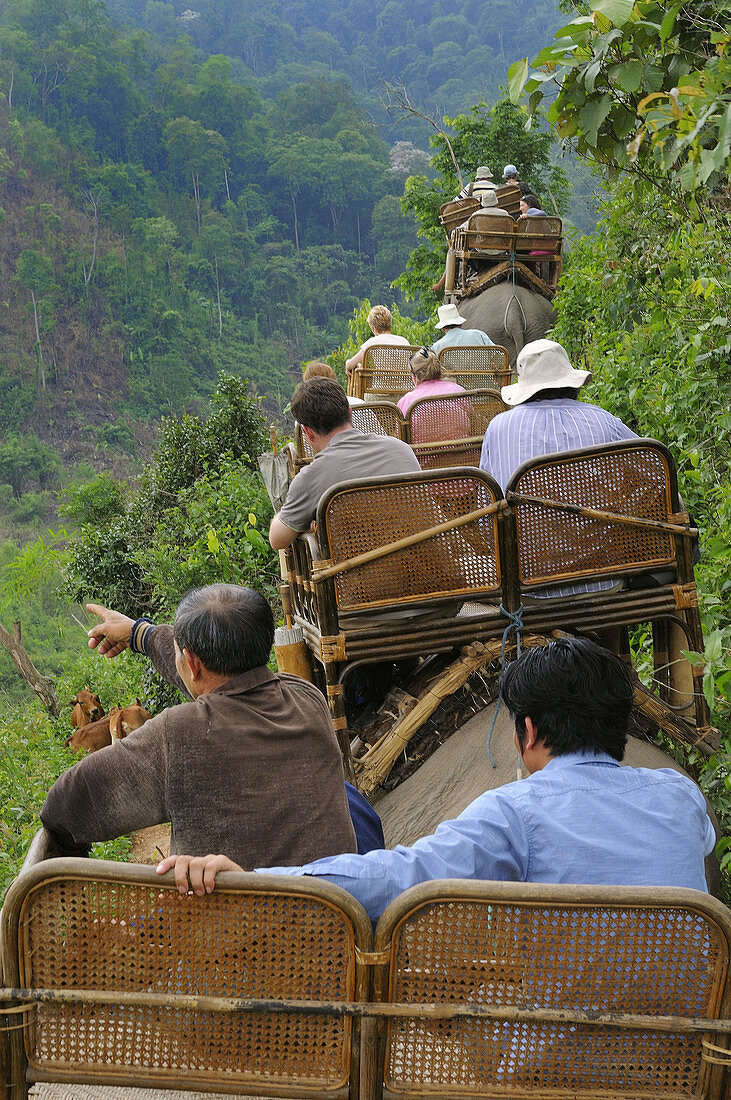 Elephant safari, Pakbeng, Oudomxay province, Laos