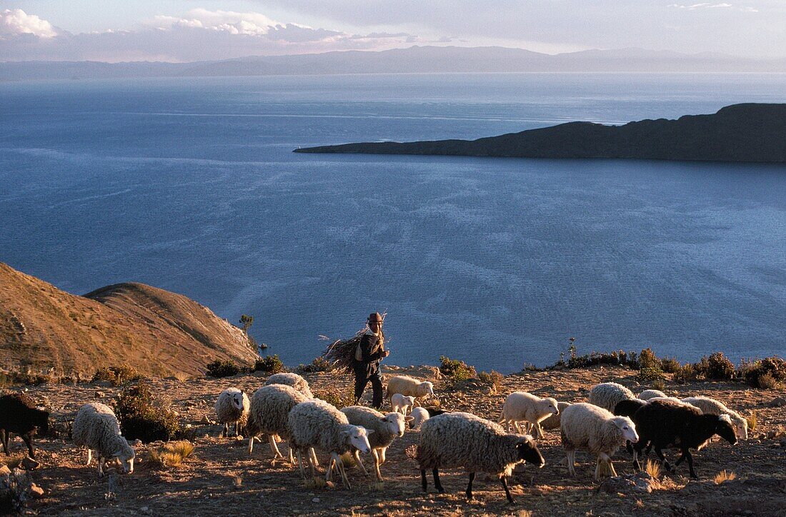 Bolivia, Titicaca lake and Andes cordillera, Isla del Sol Sun Island