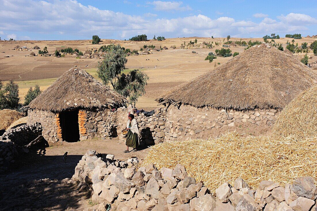 Ethiopia, Welo province, Shewa Robit village