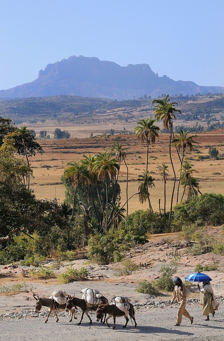 Ethiopia, Tigray, The dirt road to Gheralta