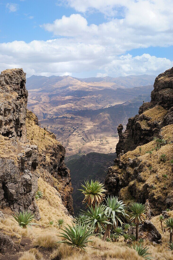 Ethiopia, Simien Mountains National Park