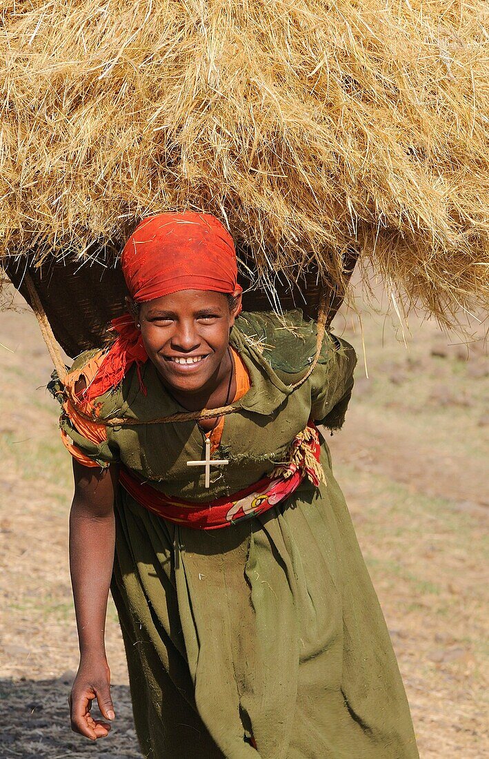 Ethiopia, Gojam province, Dejen region, Amhara woman carrying hay
