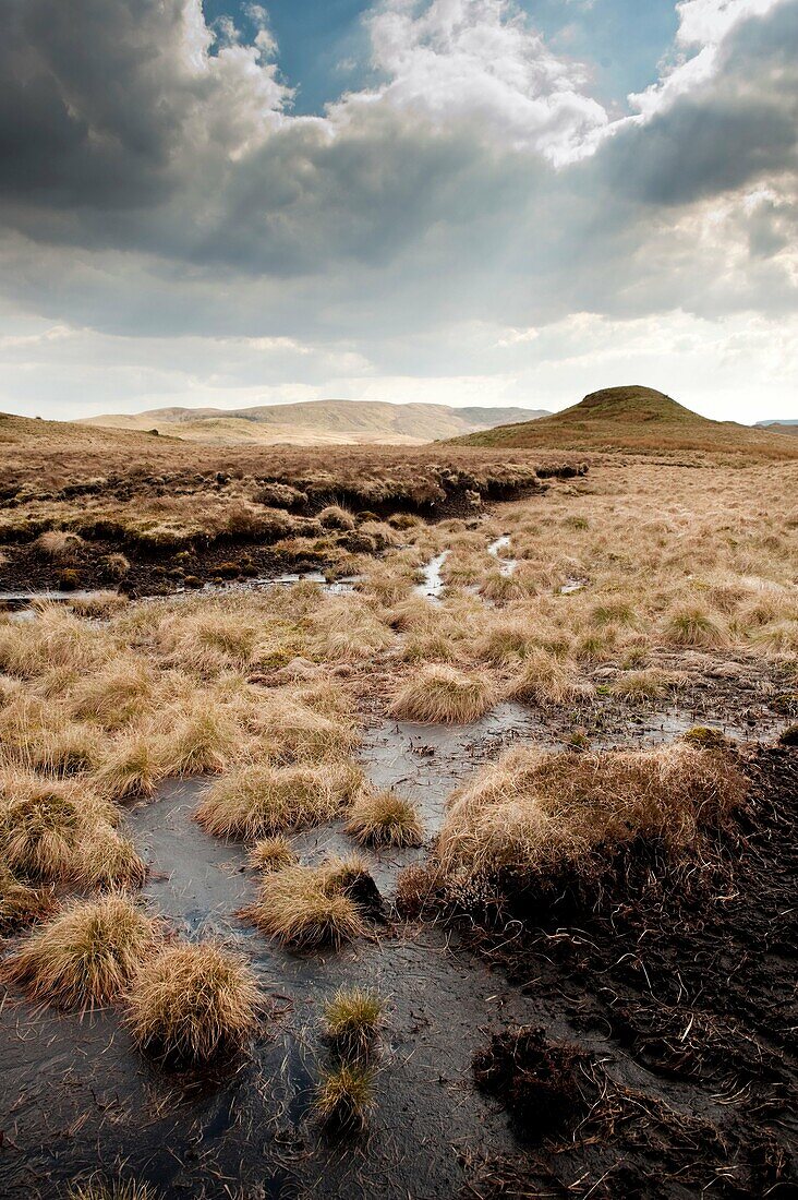 Raised peat bog, upland Ceredigion, rural west wales UK - the source of the River Teifi