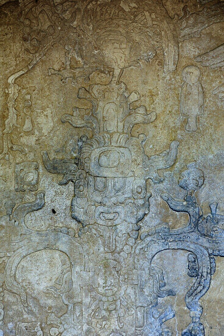 Relief carving depicting the World Tree in the Temple of The Foliated Cross in the Mayan city of Palenque, Chiapas, Mexico