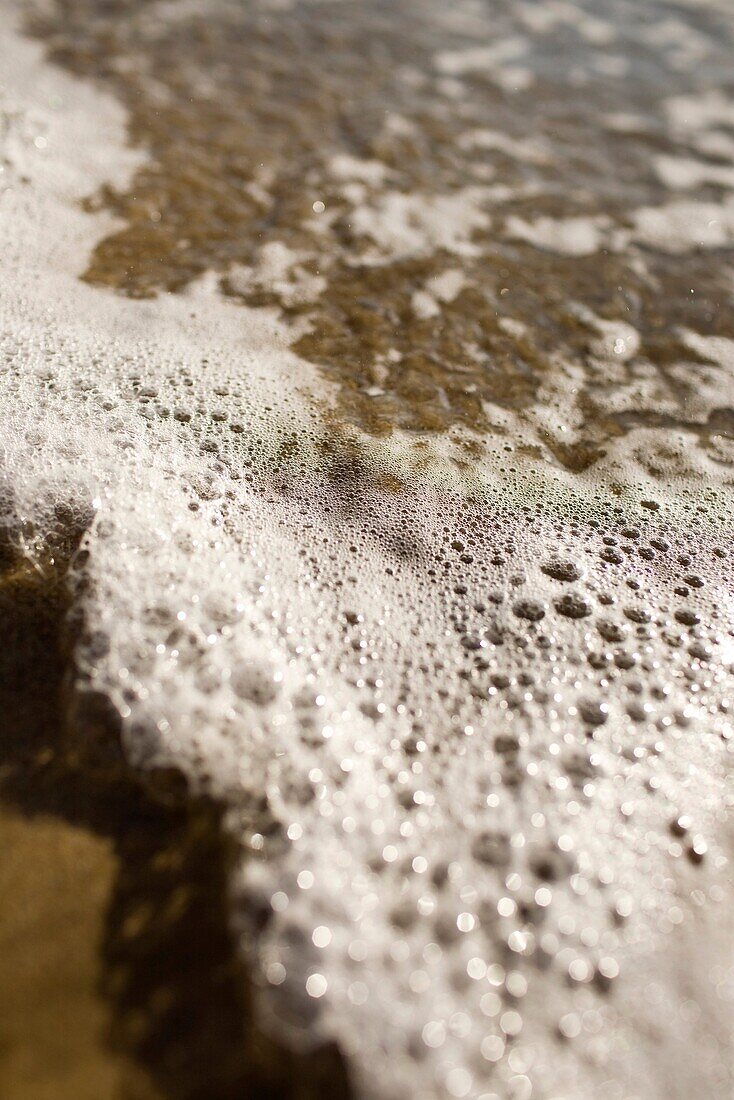 Sea foam washing onto the shore of Playa Grande in Costa Rica