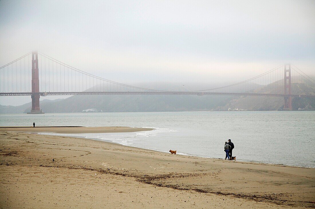 San Francisco, California - A couple walks with their dogs on the beach near the Golden Gate Bridge  © Jim West