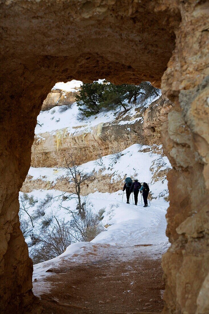 Grand Canyon National Park, Arizona - Three backpackers climbing the Bright Angel Trail in the Grand Canyon in winter  © Jim West
