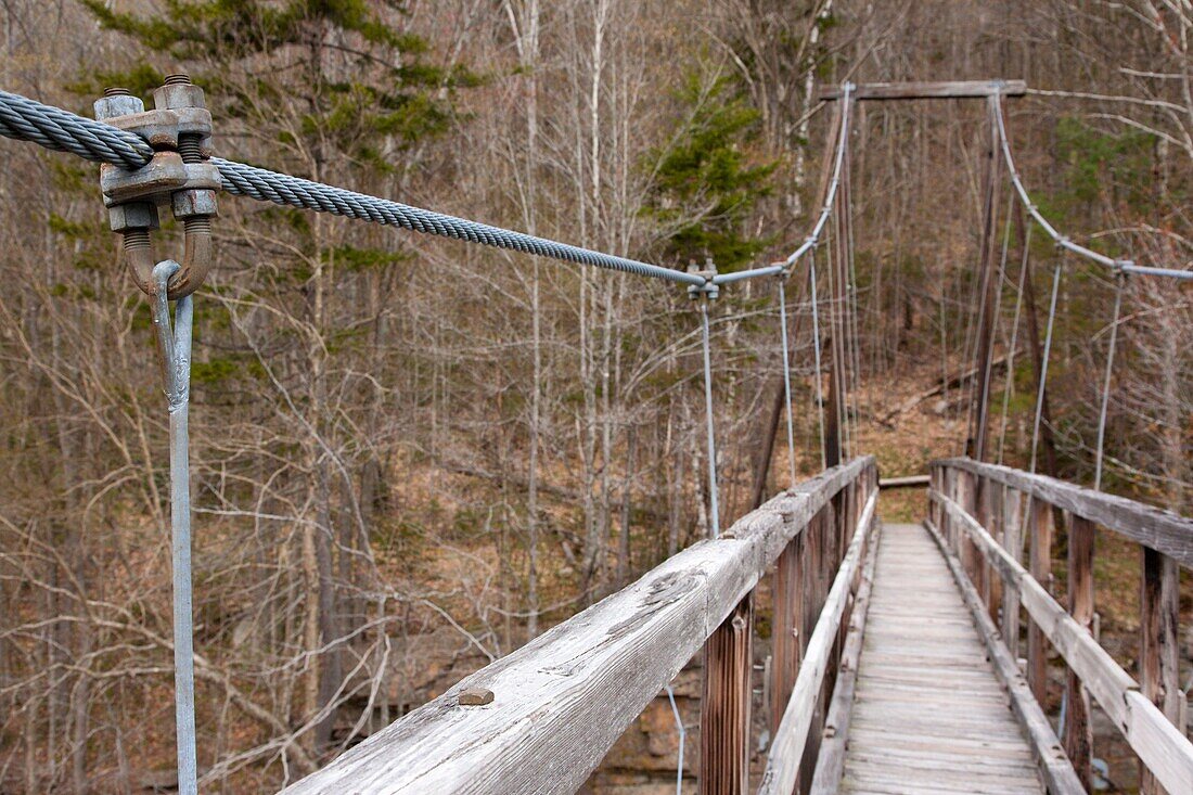 Pemigewasset Wilderness -Suspension bridge on the Wilderness Trail which spans the East Branch of the Pemigewasset River  Located in Lincoln, New Hampshire USA