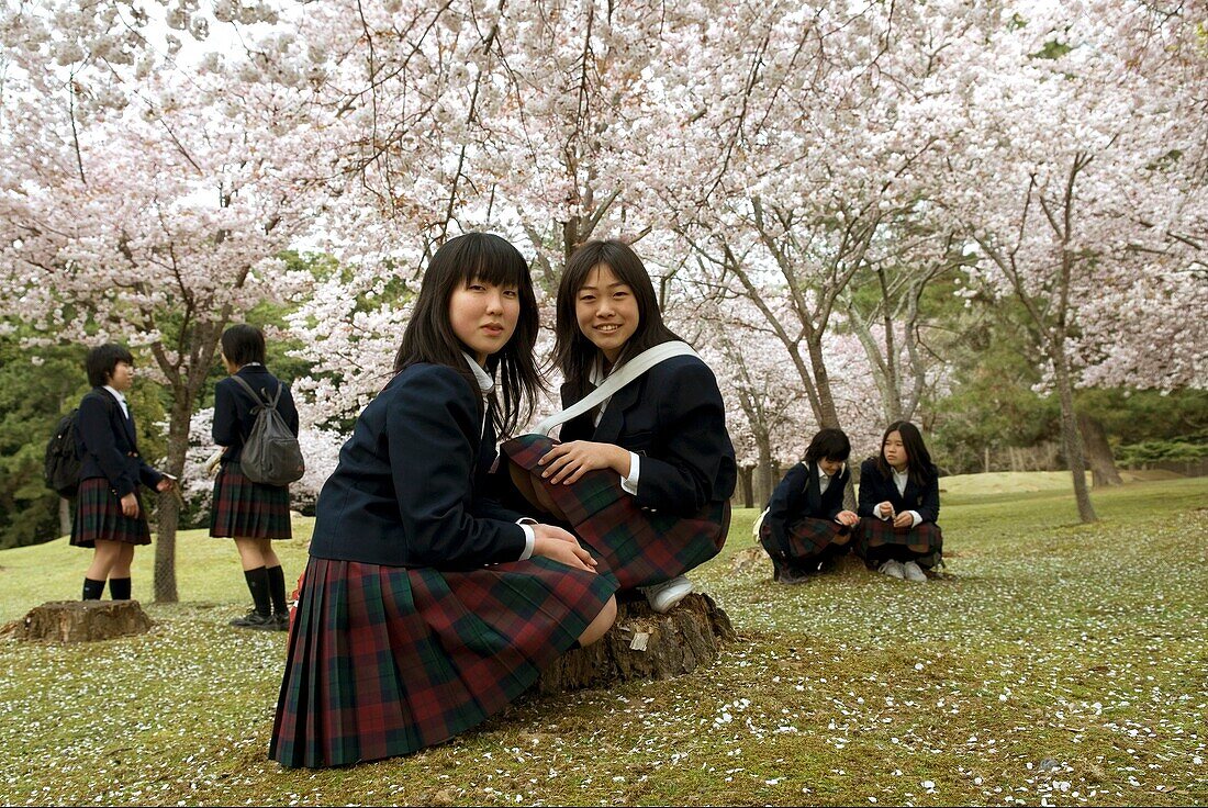 schoolgirls under cherry blossoms,Sous les cerisiers en fleurs, Nara, Japon