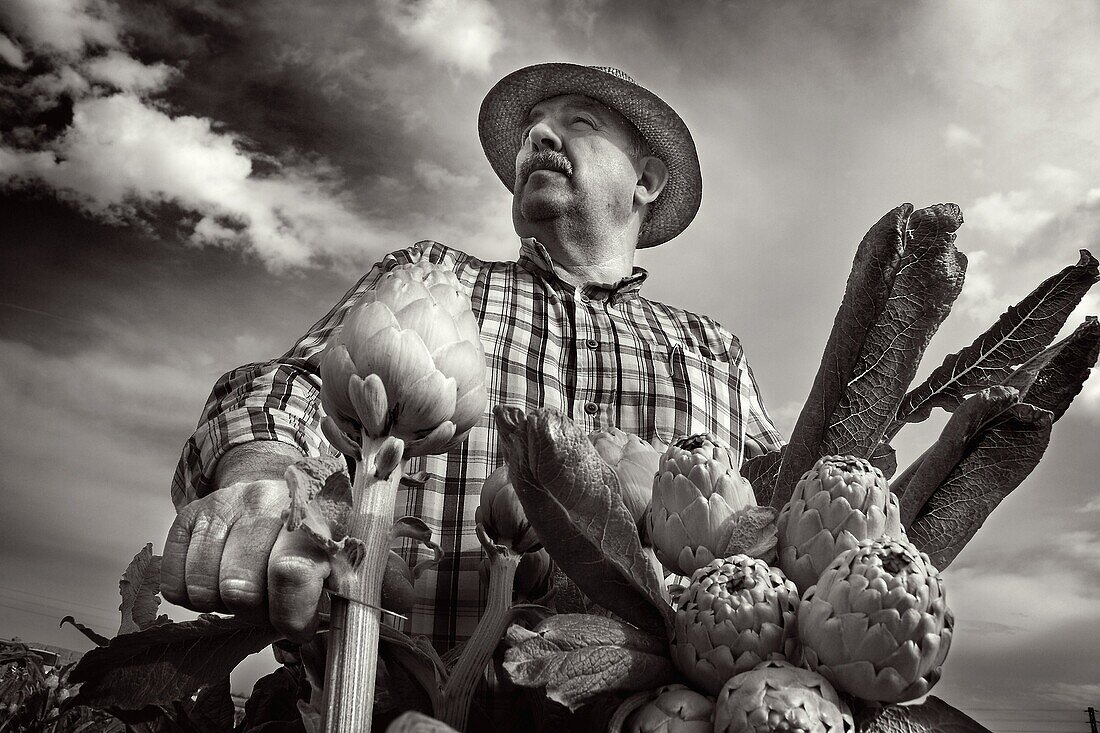 Farmer carrying artichoke  Spain