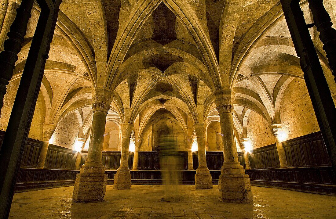 Chapter room, Cistercian monastery of Santa María la Real  Fitero, Navarre, Spain