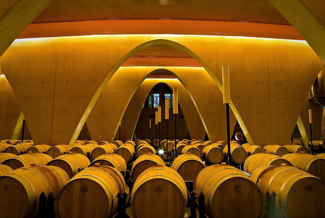 Winery  Alava  Basque country  Spain